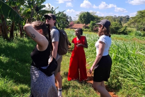 FAIRVIEW COFFEE FARM DAY TOUR