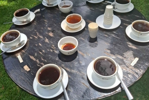 FAIRVIEW COFFEE FARM DAY TOUR