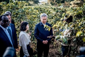 FAIRVIEW COFFEE FARM DAY TOUR