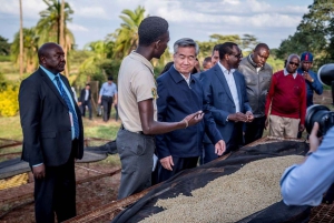 FAIRVIEW COFFEE FARM DAY TOUR