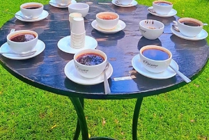 FAIRVIEW COFFEE FARM DAY TOUR
