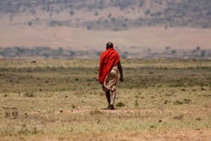 Neljän päivän safari Amboseliin ja Tsavoon