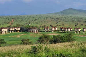 Från Coast Beach Hotels: 2-dagars privat safari i Tsavo East
