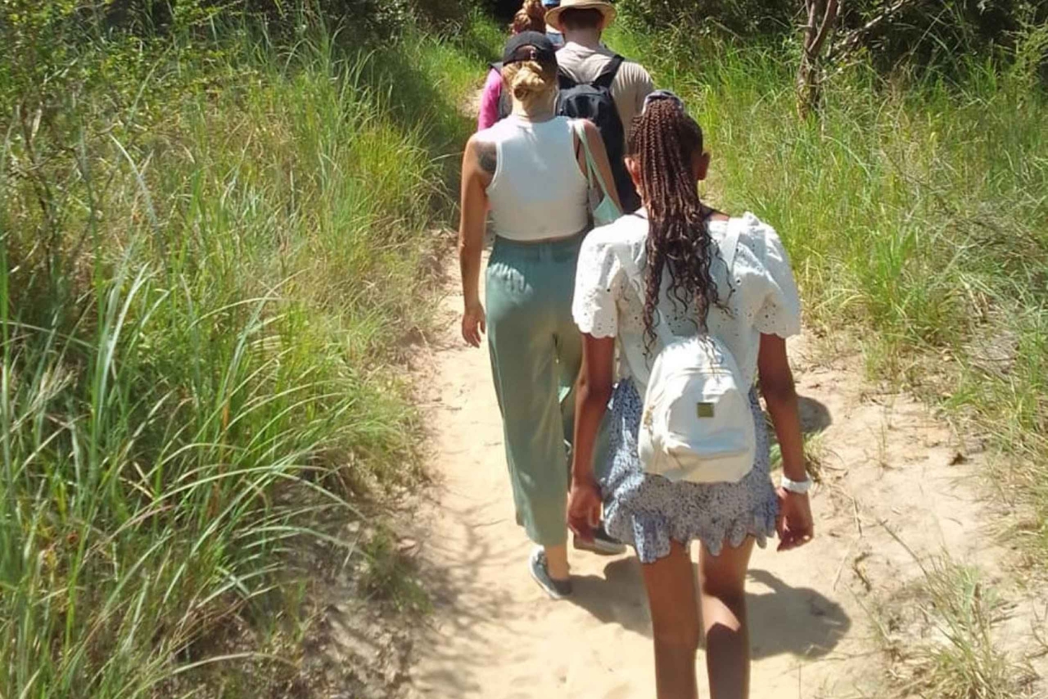 Da Diani: tour di un giorno alle colline di Shimba con le cascate di Sheldrick