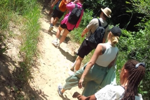 Da Diani: tour di un giorno alle colline di Shimba con le cascate di Sheldrick