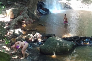 Da Diani: tour di un giorno alle colline di Shimba con le cascate di Sheldrick