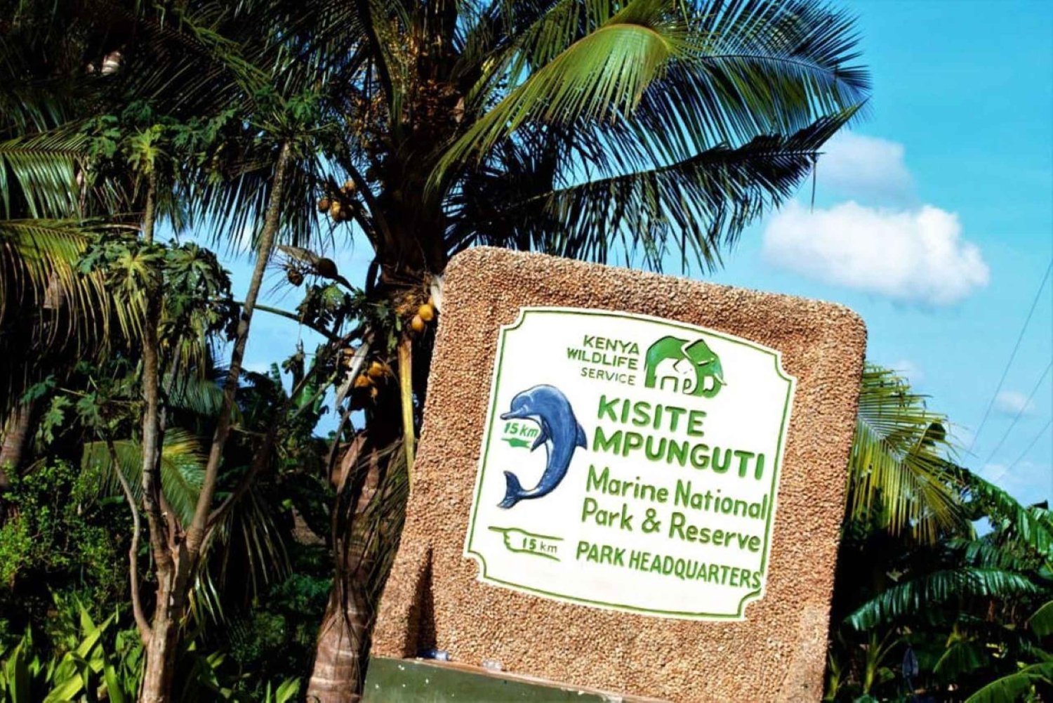 From Diani: Kisite Mpunguti Marine Park and Wasini Island