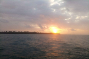 Från Diani: Kisite Sun-down Dhow Cruise med upphämtning på hotellet