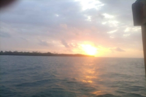 Från Diani: Kisite Sun-down Dhow Cruise med upphämtning på hotellet