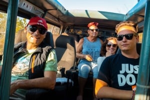 Von Kilifi, Watamu, Malindi: Tsavo Ost Tagessafari