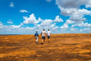 Von Kilifi, Watamu, Malindi: Tsavo Ost Tagessafari