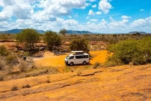 Von Kilifi, Watamu, Malindi: Tsavo Ost Tagessafari