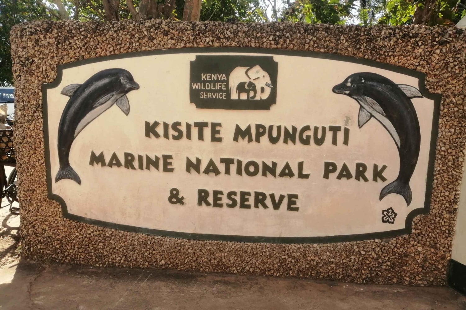 Desde Kwale Excursión al Parque Nacional Marino Kisite Mpunguti