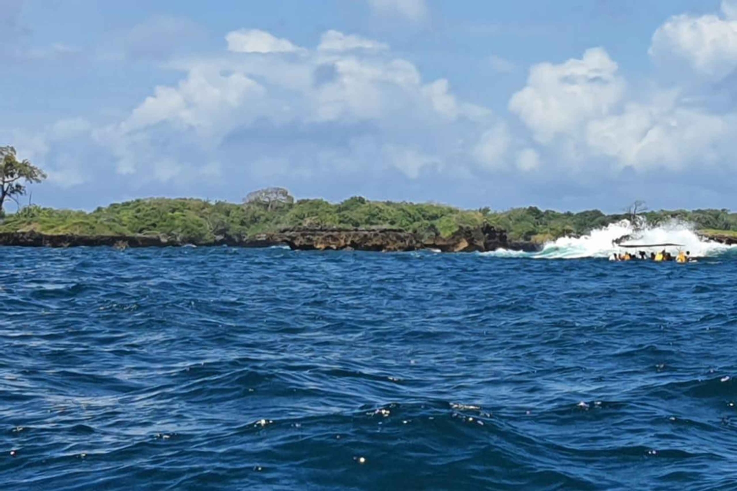 Desde Kwale Excursión al Parque Nacional Marino Kisite Mpunguti