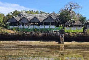From Kwale: Kisite Mpunguti Marine National Park Tour