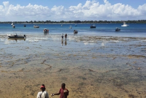 Desde Kwale Excursión al Parque Nacional Marino Kisite Mpunguti
