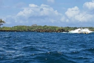 Desde Kwale Excursión al Parque Nacional Marino Kisite Mpunguti
