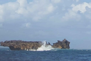 Desde Kwale Excursión al Parque Nacional Marino Kisite Mpunguti