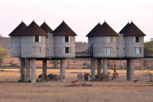 Z Mombasy: 5-dniowe safari Tsavo East, West i Saltlick Lodge