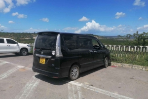 Do aeroporto de Mombasa: Traslado de Diani em uma minivan (5 pessoas)
