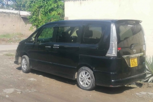 Depuis l'aéroport de Mombasa : Transfert à Diani en minibus (5 pax)