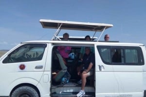 From Mombasa: Day Tour to Tsavo East National Park