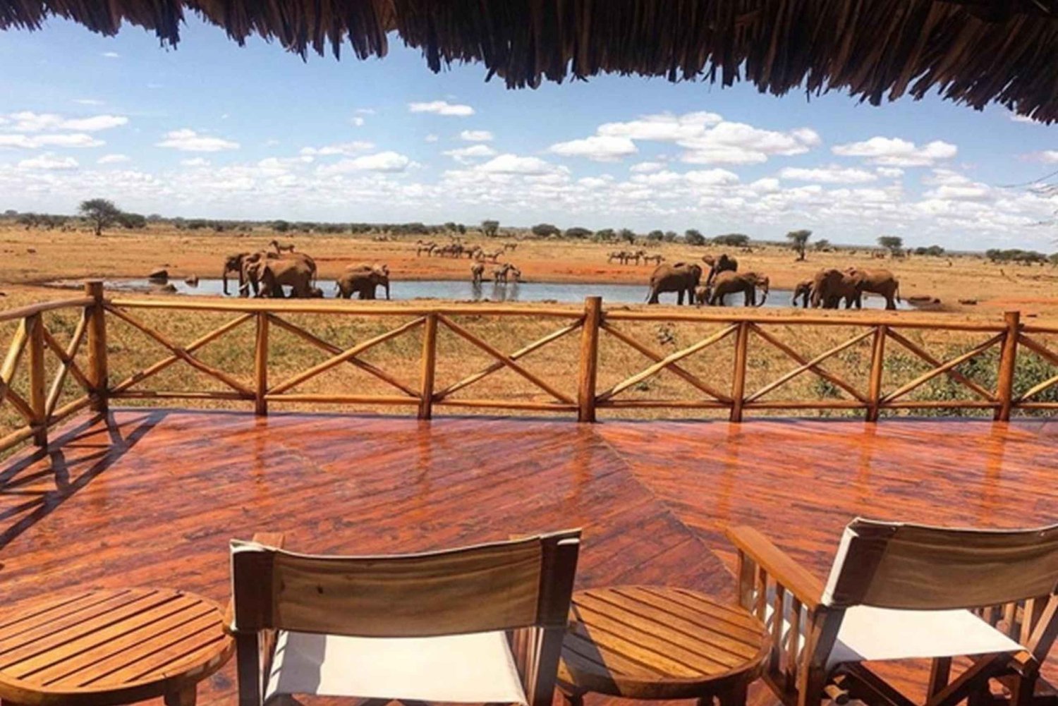 Vanuit Mombasa/Diani Beach: Tsavo East National Park dagtrip