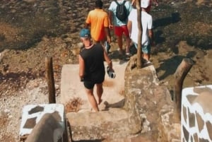 Vanuit Mombasa: Kisite Mpunguti Marine Park en Wasini Island