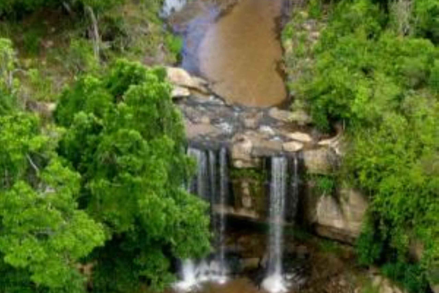 Mombasasta: Shimba Hills National Reserve Day Safari