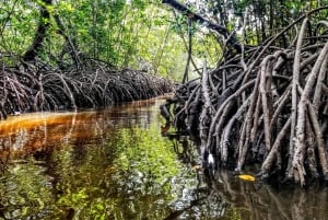 From Mombasa: Watamu Marine Park & Sudi Island Excursion