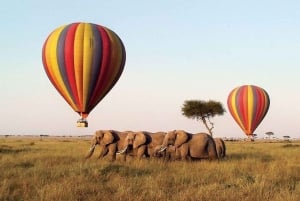 From Nairobi: 12 Days Group Kenya and Tanzania Safari