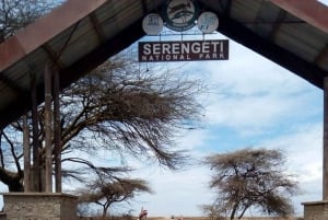 From Nairobi: 12 Days Group Kenya and Tanzania Safari