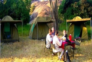 From Nairobi: 12 Days Group Kenya and Tanzania Safari