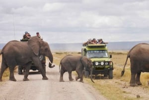 Vanuit Nairobi: 2-daagse safari door het Amboseli National Park