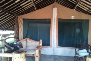 Из Найроби: 2-дневное сафари в национальном парке Амбосели