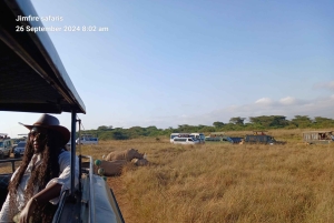 From Nairobi: 2-Day Amboseli National Park Safari