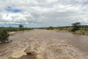 From Nairobi: 2-Day Masai Mara Safari with Flight