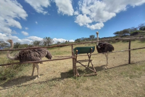 From Nairobi: 2-Day Naivasha Safari with Accommodation