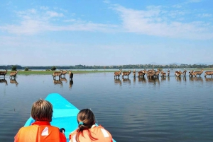 From Nairobi: 2-Day Naivasha Safari with Accommodation