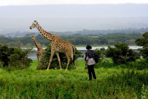 From Nairobi: 2-Day Naivasha Safari with Accommodation