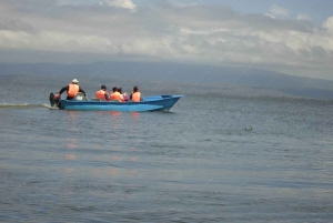 From Nairobi: 2-Day Naivasha Safari with Accommodation