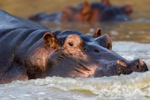 Desde Nairobi: Safari de 2 días a Naivasha con alojamiento