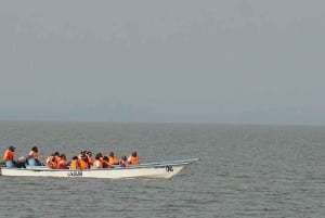 Desde Nairobi: Safari de 2 días a Naivasha con alojamiento