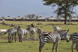 Desde Nairobi: Safari de 2 días a Naivasha con alojamiento