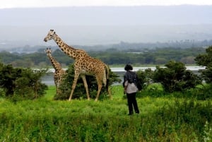 Desde Nairobi: Safari de 2 días a Naivasha con alojamiento