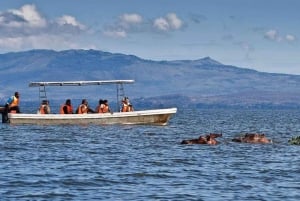 Desde Nairobi: Safari de 2 días a Naivasha con alojamiento