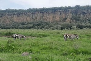 Desde Nairobi: Safari de 2 días a Naivasha con alojamiento