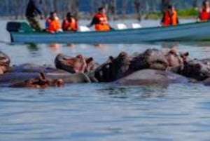 Desde Nairobi: Safari de 2 días a Naivasha con alojamiento