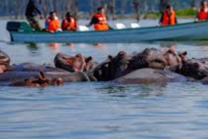 Desde Nairobi: Safari de 2 días a Naivasha con alojamiento