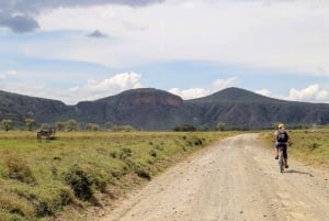 Desde Nairobi: Safari de 2 días a Naivasha con alojamiento